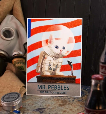Деревянный постер Фоллаут • Mr. Pebbles • Плакат Fallout • Подарок для геймера