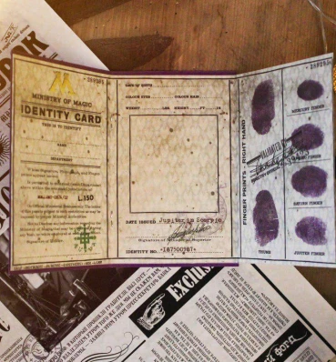 Удостоверение личности Министерства Магии ⚡️ Подарки Гарри Поттер ⚡️ Harry Potter