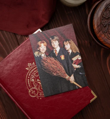 Фотокарточка Гриффиндор ⚡️ Подарки Гарри Поттер ⚡️ Gryffindor ⚡️ Harry Potter