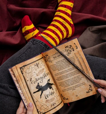 Носочки с принтом ⚡️ Гарри Поттер ⚡️ Одежда ⚡️ Сувениры Harry Potter