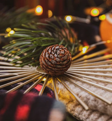 Натуральна шишка • Декор та сувеніри • Подарунок на Новий рік та Різдво