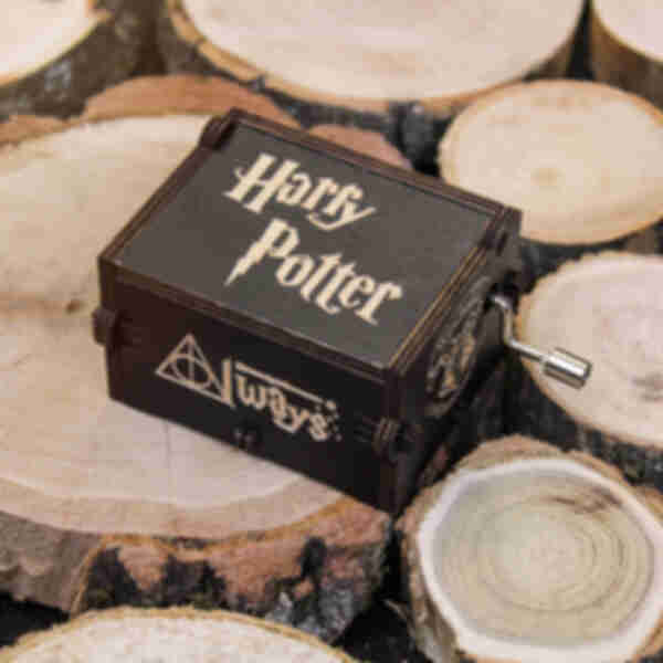 АРХИВ Дерев'яна музична шкатулка ⚡️ Чарівні сувеніри ⚡️ Гаррі Поттер ⚡️ Harry Potter