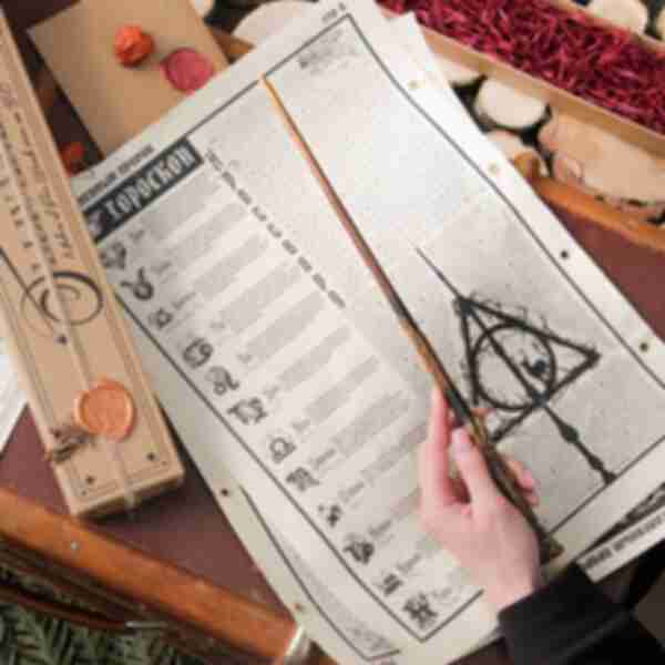 Чарівна паличка Гаррі Поттера з лавки Олівандера ⚡️ Сувеніри Harry Potter
