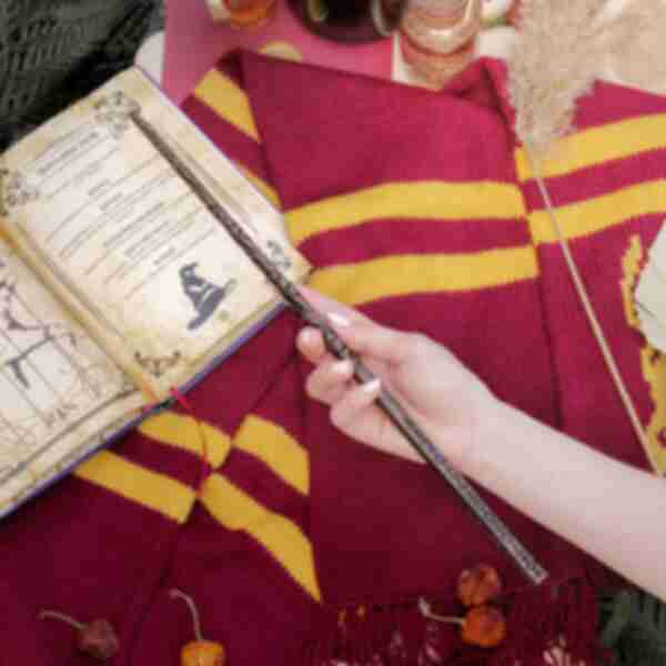 Чарівна паличка Сіріуса Блека ⚡️ Сувеніри Гаррі Поттер ⚡️ Harry Potter