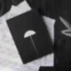 Бокс за серіалом Академія Амбрелла • classic • Подарунковий набір The Umbrella Academy без чашки