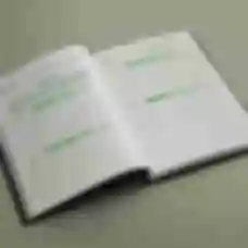 Персональний інформаційний Notebook-Boy в стилі Фолаут •  Блокнот-нотатник Pip-Boy по грі Fallout • Подарунок для геймера