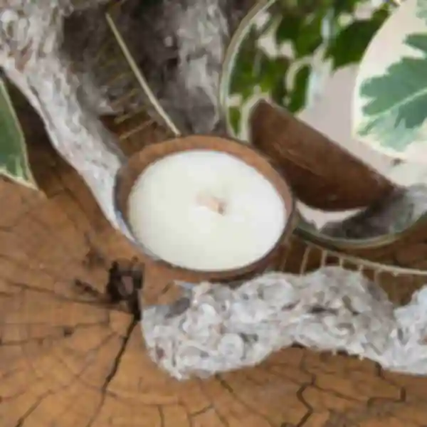 Соевая арома свеча в натуральном кокосе • Bali