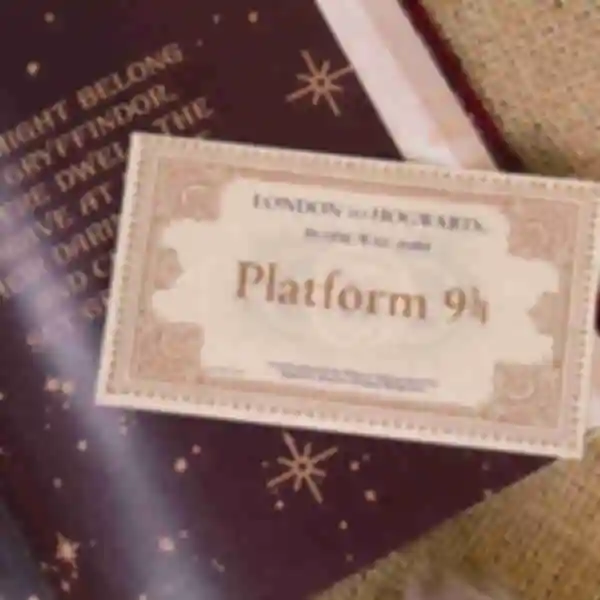 АРХИВ Набор по факультету Гриффиндор ⦁ max ⚡️ Подарок Гарри Поттер ⚡️ Harry Potter