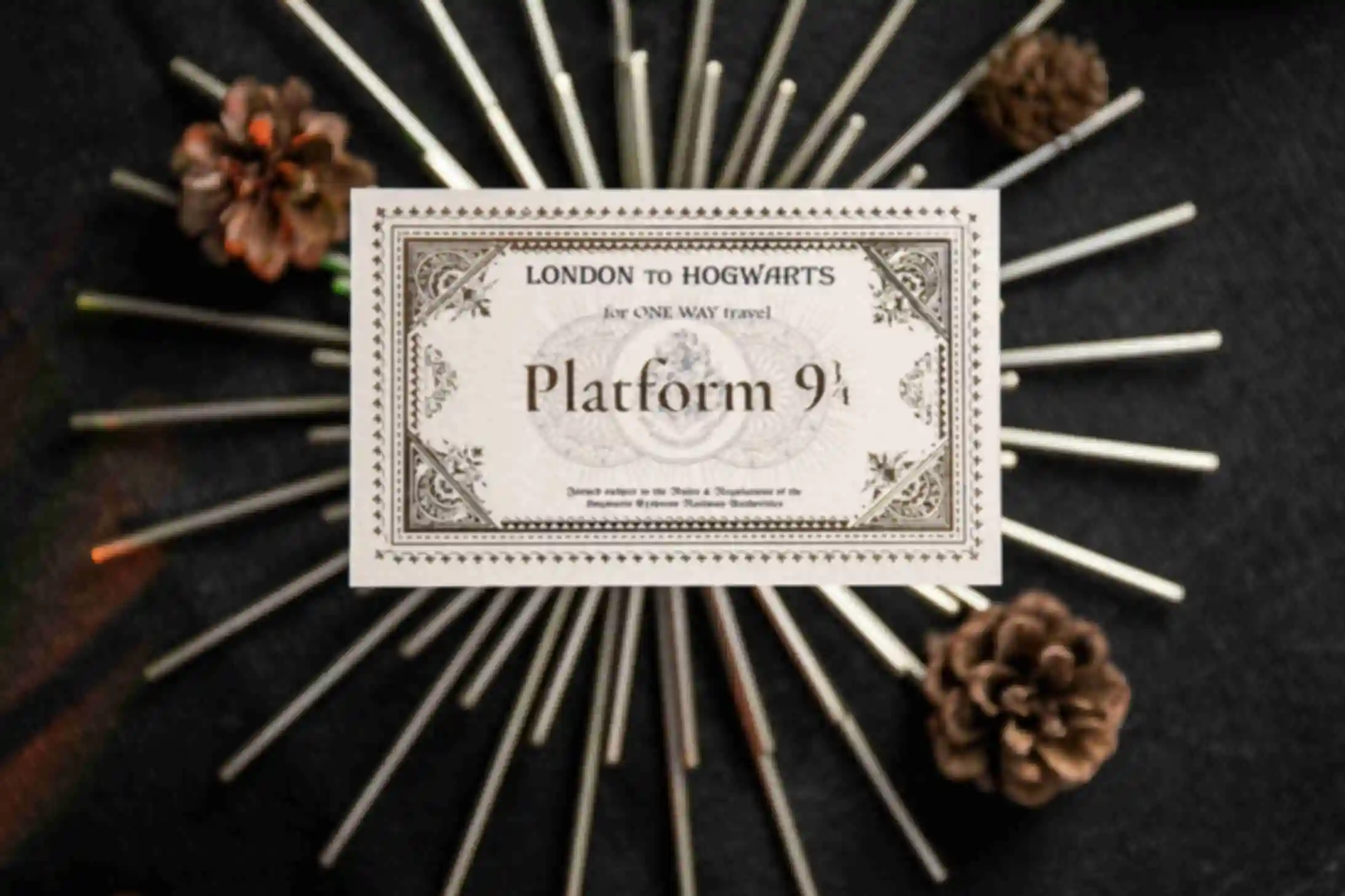 Билет на Хогвартс Экспресс ⚡️ Гарри Поттер Hufflepuff. Фото №30