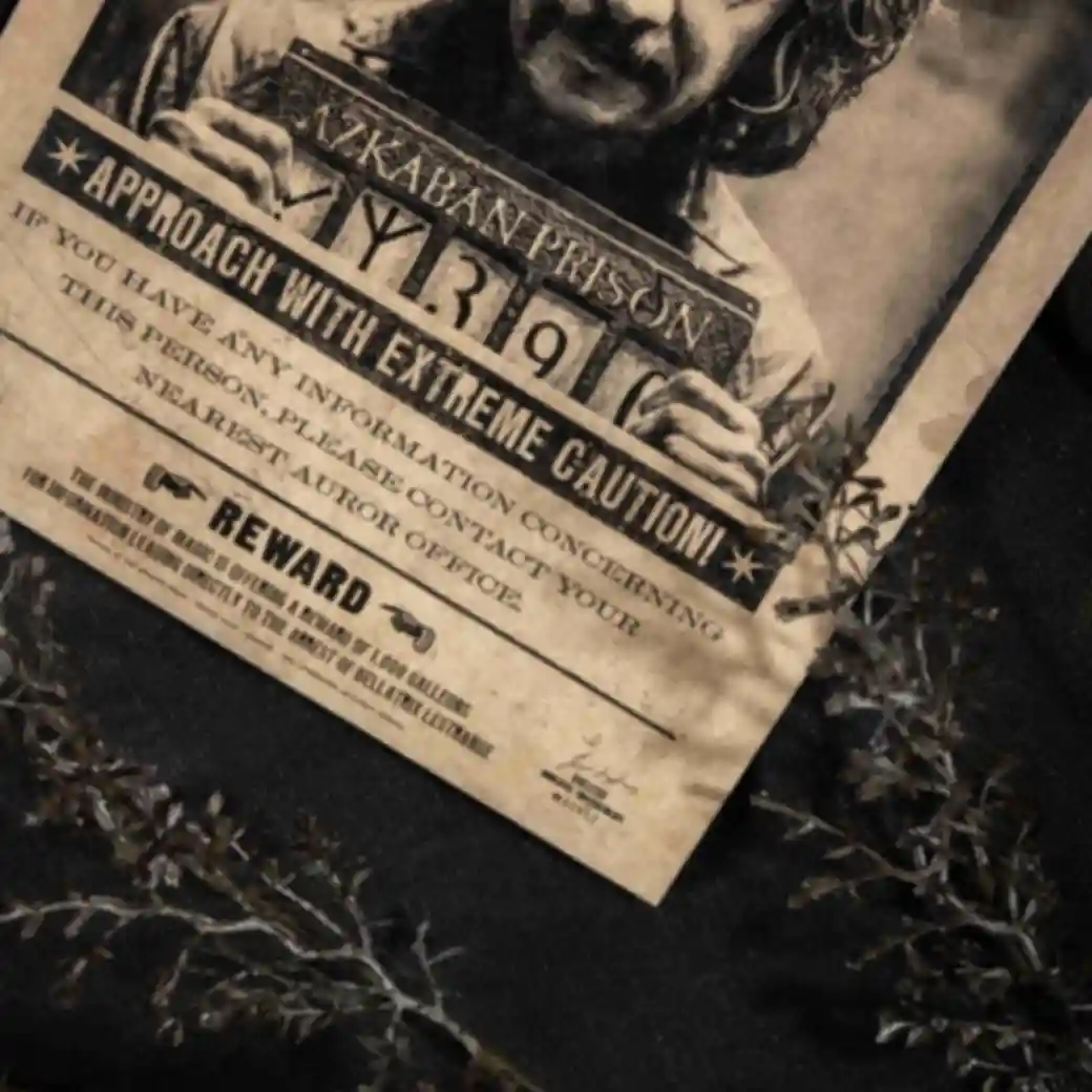Постер з Сіріусом Блеком ⚡️ Плакат ⚡️ Гаррі Поттер ⚡️ Harry PotterФото №2
