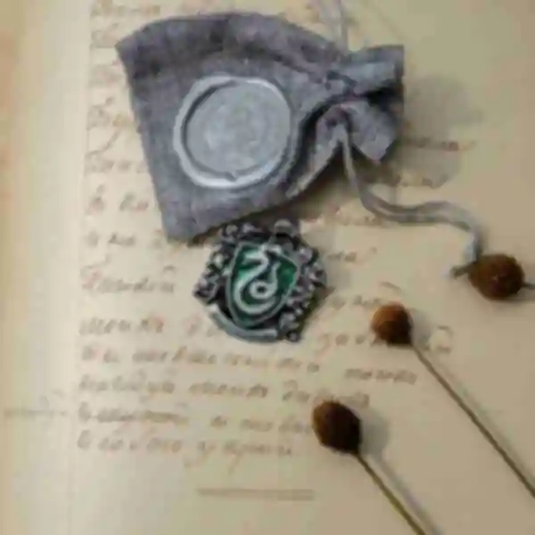 Значок Слизерин ⚡️ Пін Гаррі Поттер ⚡️ Прикраси в стилі Slytherin ⚡️ Harry Potter