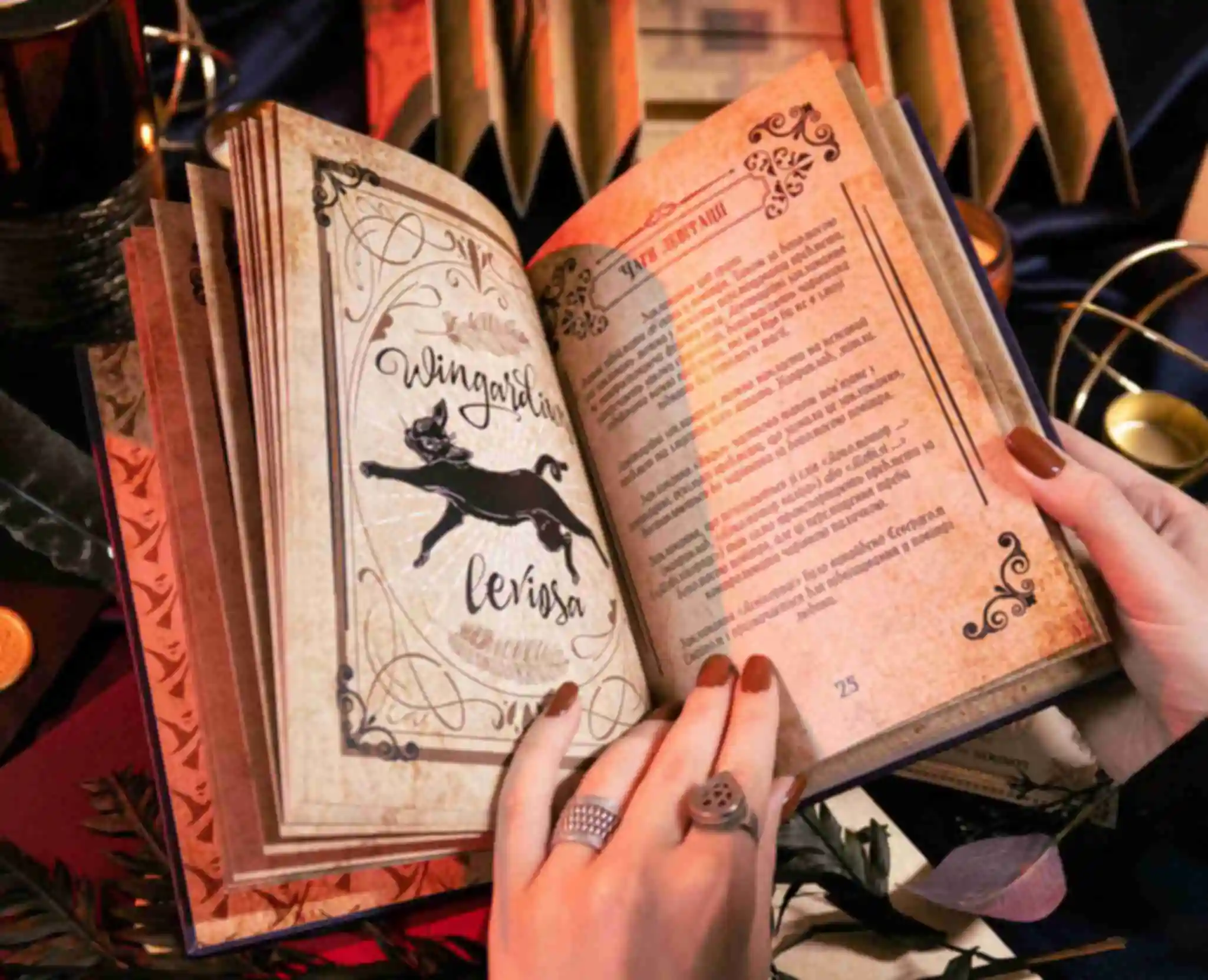 Книга заклинань для учня Гоґвортсу ⚡️ 2.0 ⚡️ Гаррі Поттер ⚡️ Harry Potter Фото №3